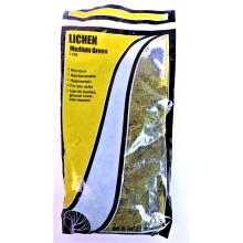WOODLAND 163 LICHEN MEDIUM GREEN 1.5 QUARTS