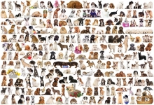 EUROGRAPHICS 8220-0581 THE WORLD OF DOGS PUZZLE 2000 PIEZAS