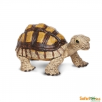 SAFARI 258629 TORTUGUITA