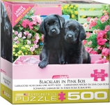 EUROGRAPHICS 8500-5462 BLACK LABS IN PINK BOX 500 PIEZAS PUZZLE