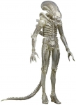NECA 51593 ALIEN BIG CHAP 7 PULGADAS HLWN