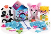 AMAV 5700 KEYPSEES PETS