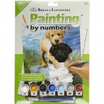 ROYAL PJS89 PBN JR SM FISHIN BUDDIES