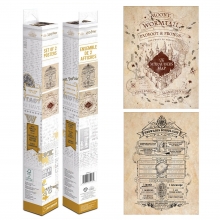 SMARTCIBLE PPB35442 SET DE POSTERS HARRY POTTER MAP AND SCHOOL LIST