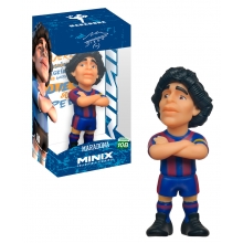 Descripci&oacute;n