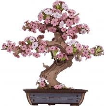ROBOTIME TG415 SAKURA BONSAI