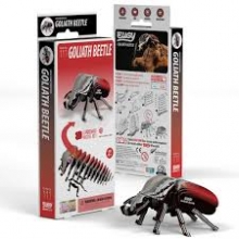 EUGY 110401 GOLIATH BEETLE 3D PUZZLE